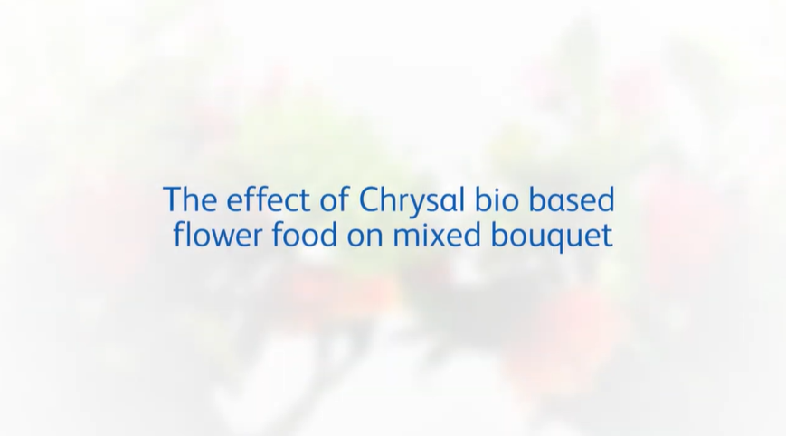 Apa efek untuk bunga rangkai ketika menggunakan Chrysal Universal Flower Food Bio Based?